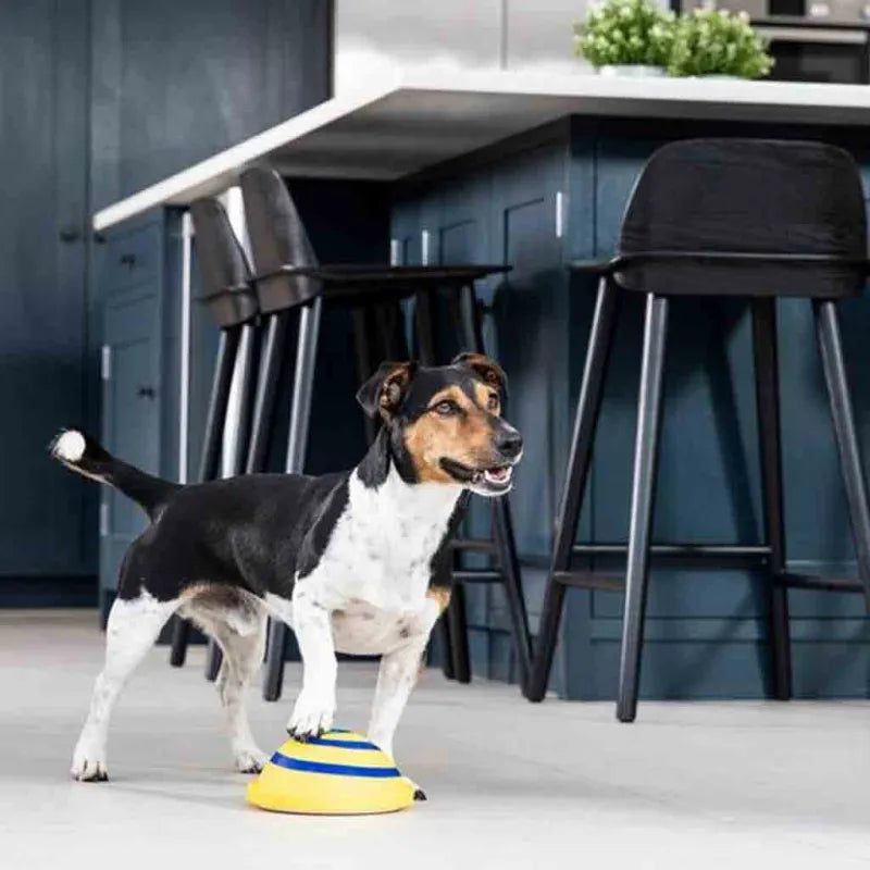 Interactive Dog Toy - Spiral - Shaped Rotating Play Mat for Mental Stimulation