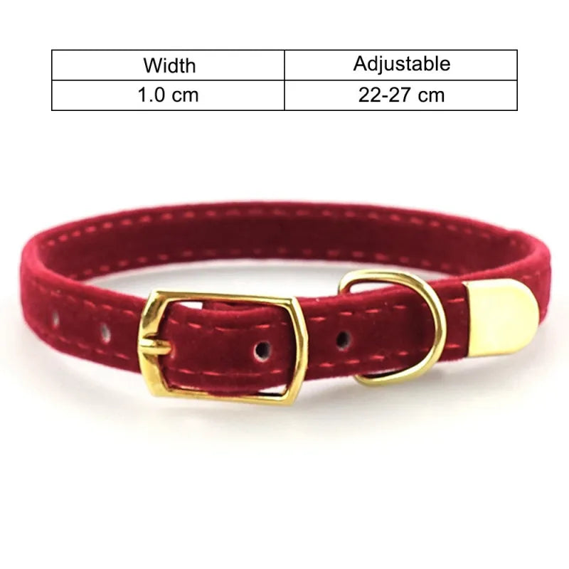 Velours Cat Collar With Golden Buckle - Soft Adjustable And Elegant