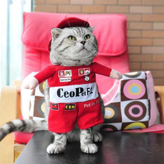 Creative Disguises For Pets