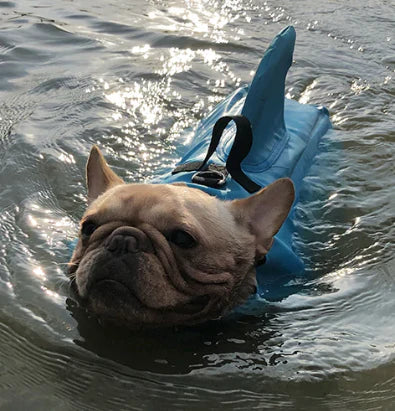 Dog Life Jacket