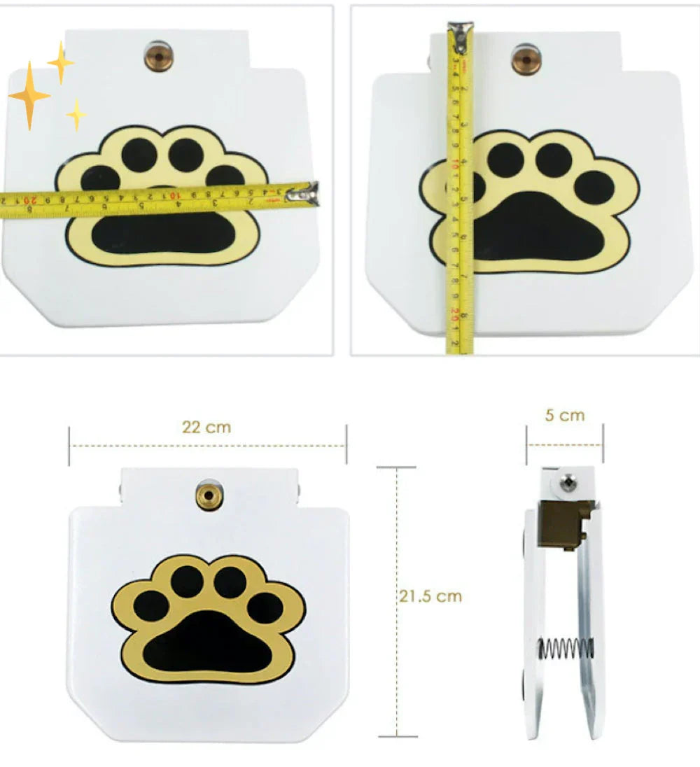 Interactive Dog Toy with Water Fountain