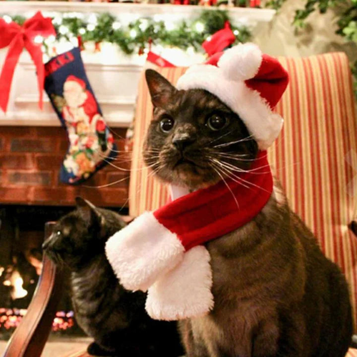 Christmas Cat Costume Set