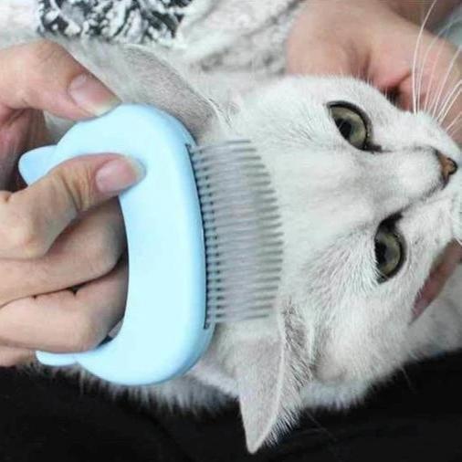 Gentle Massage And Grooming Brush For Cats