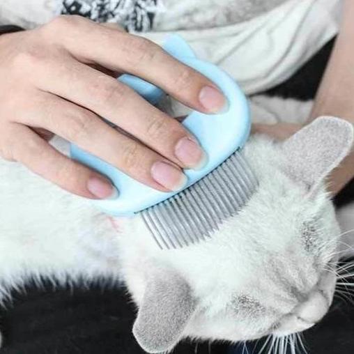 Gentle Massage And Grooming Brush For Cats