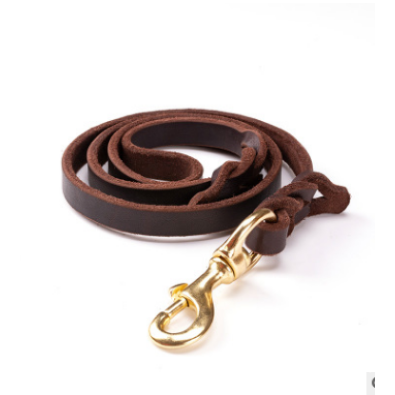 Leather Dog Lead With Golden Carabiner - Robust And Elegant Dog Accessory