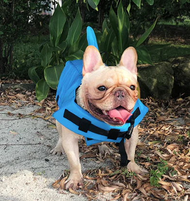 Dog Life Jacket