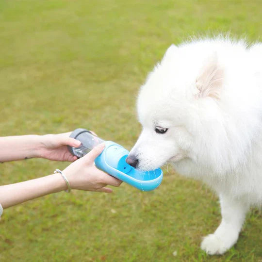 Mobile Drinking Dispenser For Pets