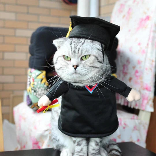 Creative Disguises For Pets