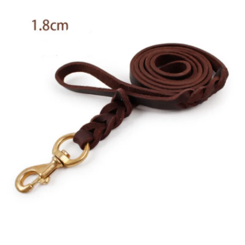 Leather Dog Lead With Golden Carabiner - Robust And Elegant Dog Accessory