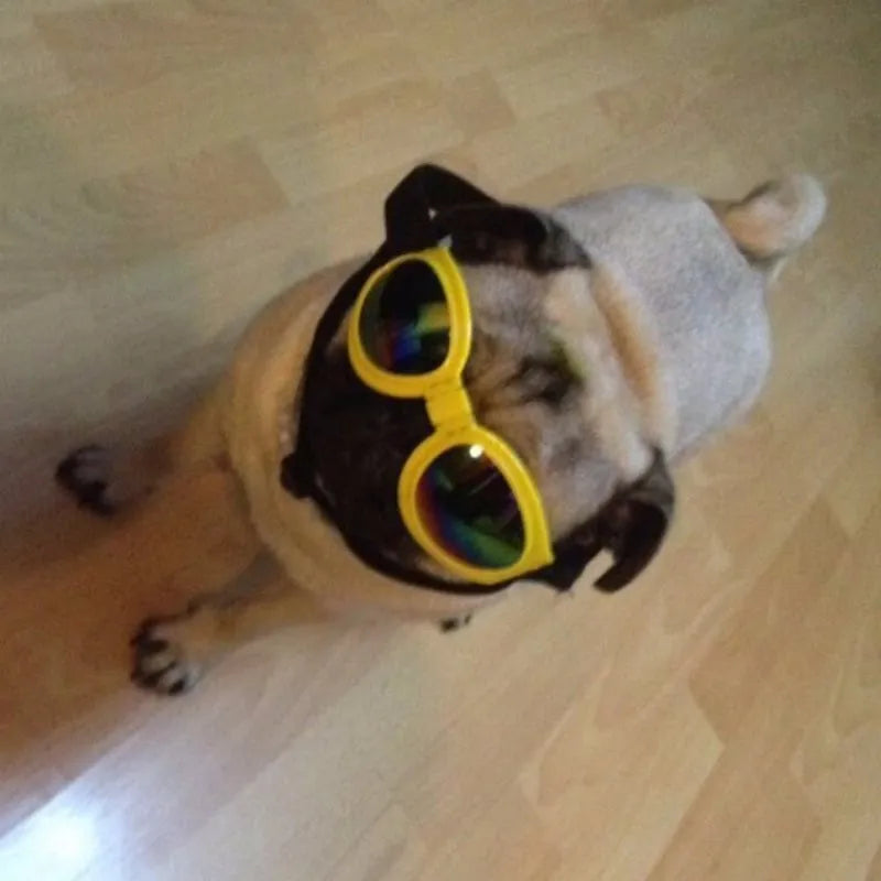 Dog Goggles Uv Protective Goggles In 7 Colours For Dogs
