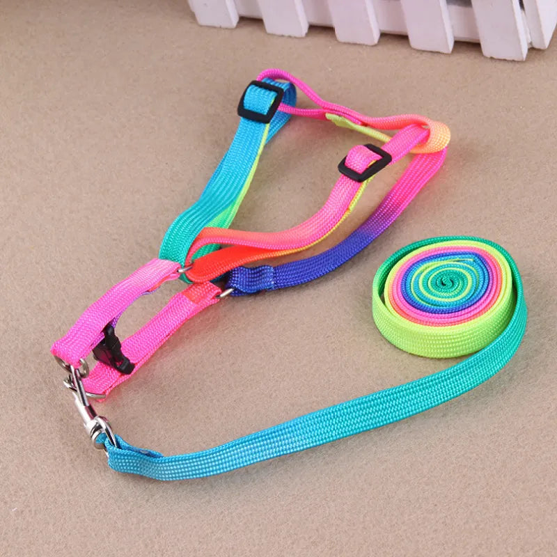 Coloured Dog Harness With Lead - Adjustable Set For Dogs In Rainbow Colours
