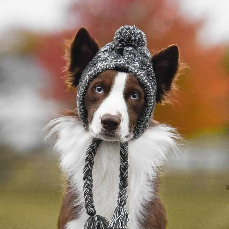 Stylish Dog Hat With Bobble - Warm Winter Hat For Small Dogs