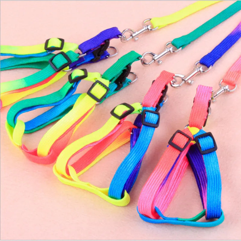 Coloured Dog Harness With Lead - Adjustable Set For Dogs In Rainbow Colours