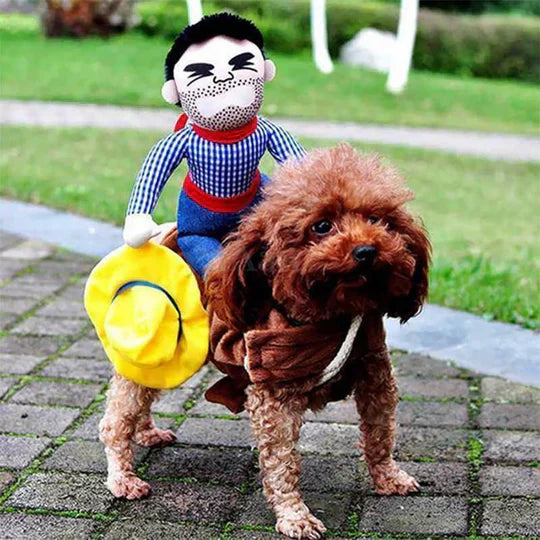 Creative Disguises For Pets