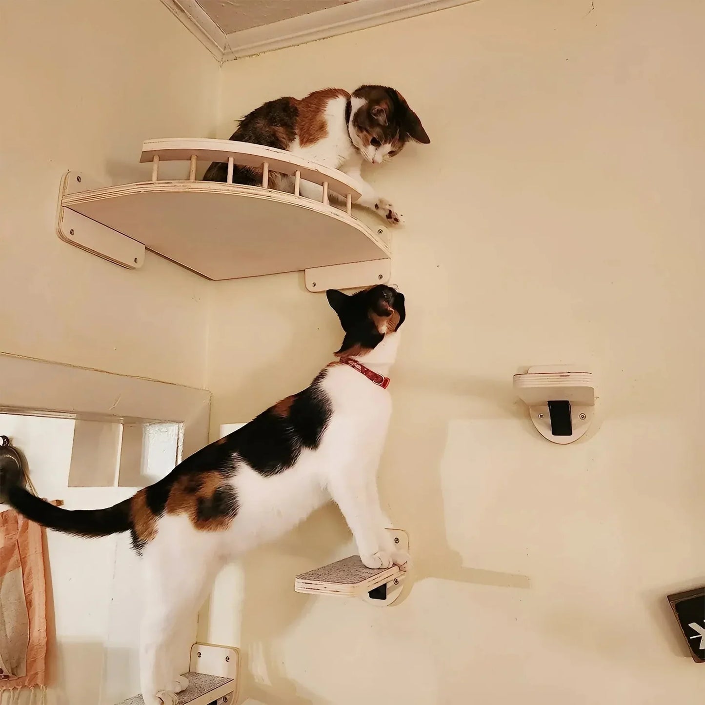 Customizable Cat Wall Scratching Tree