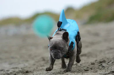 Dog Life Jacket