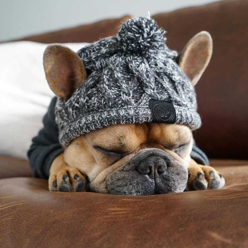Stylish Dog Hat With Bobble - Warm Winter Hat For Small Dogs