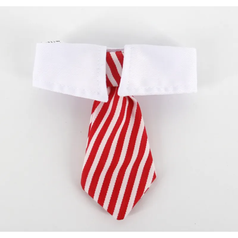 Elegant Pet Collar With Tie For Dogs And Cats