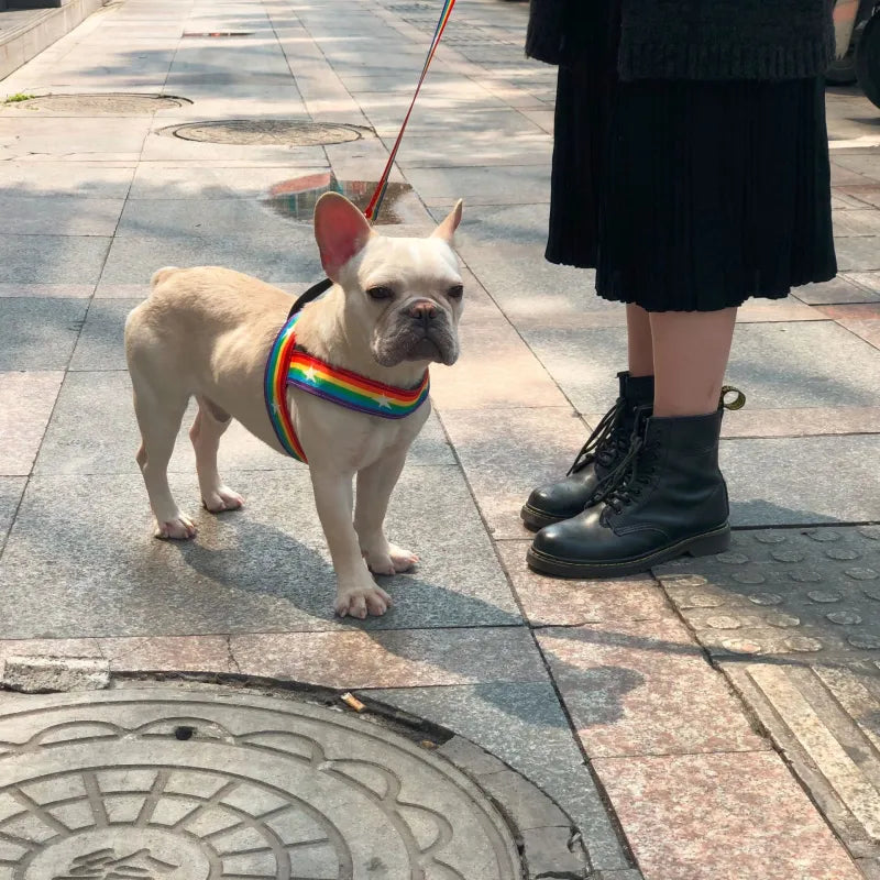 Rainbow Dog Harness With Stars - Soft And Adjustable For Comfort And Safety