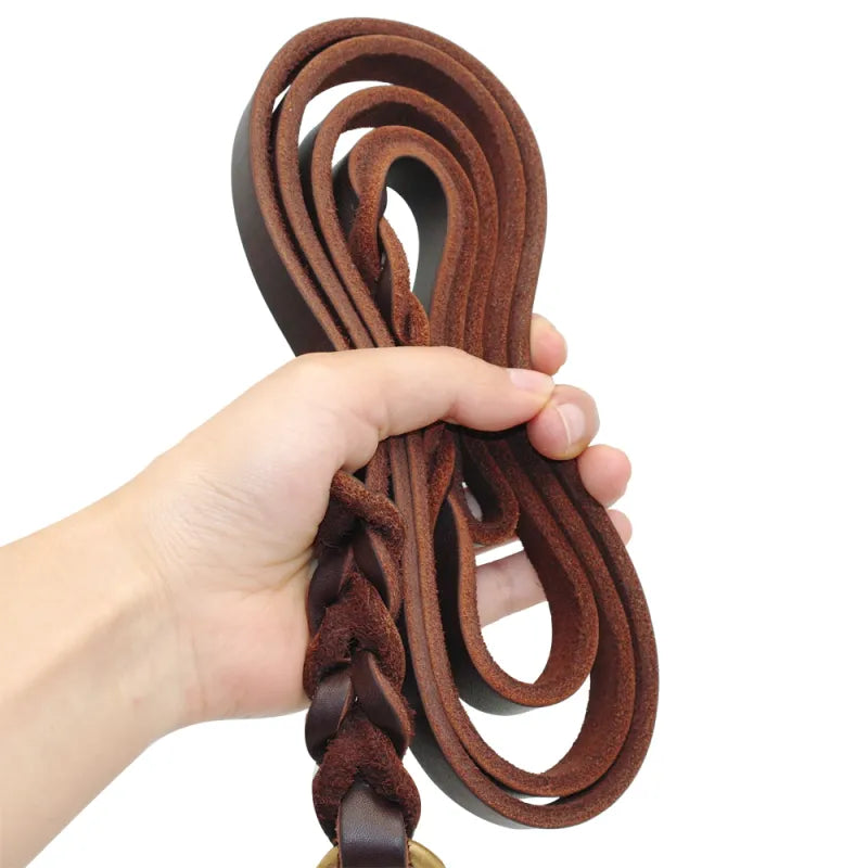 Leather Dog Lead With Golden Carabiner - Robust And Elegant Dog Accessory