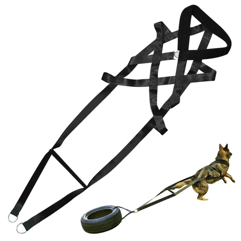 Dog Training Harness with Pull Handles and Tyres - Robust and Adjustable