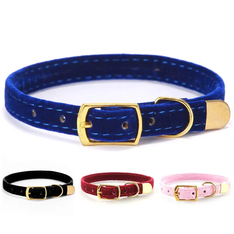 Velours Cat Collar With Golden Buckle - Soft Adjustable And Elegant
