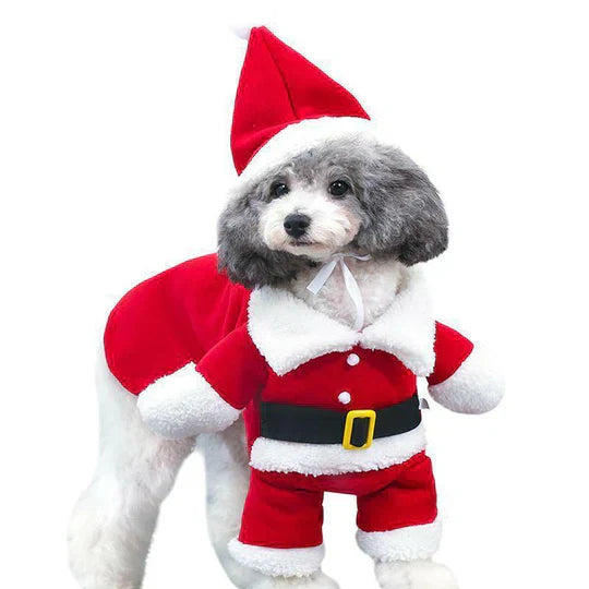 Creative Disguises For Pets