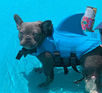 Dog Life Jacket