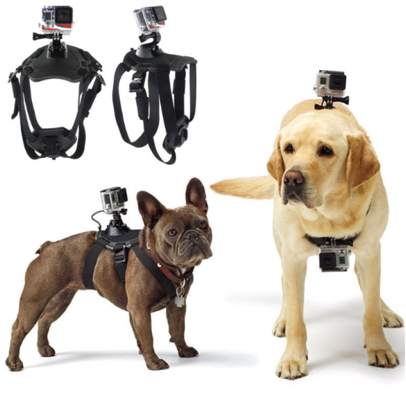 Action- Camera Harness For Dogs With Holder For Chest And Back