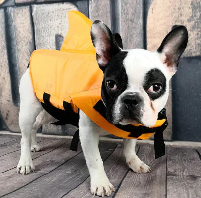 Dog Life Jacket