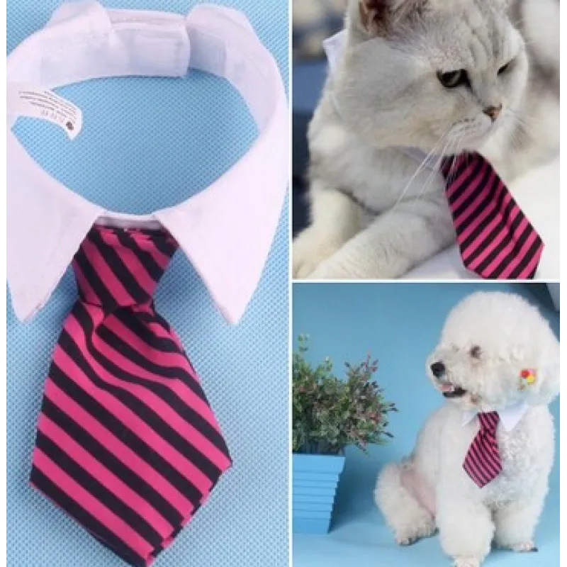 Elegant Pet Collar With Tie For Dogs And Cats