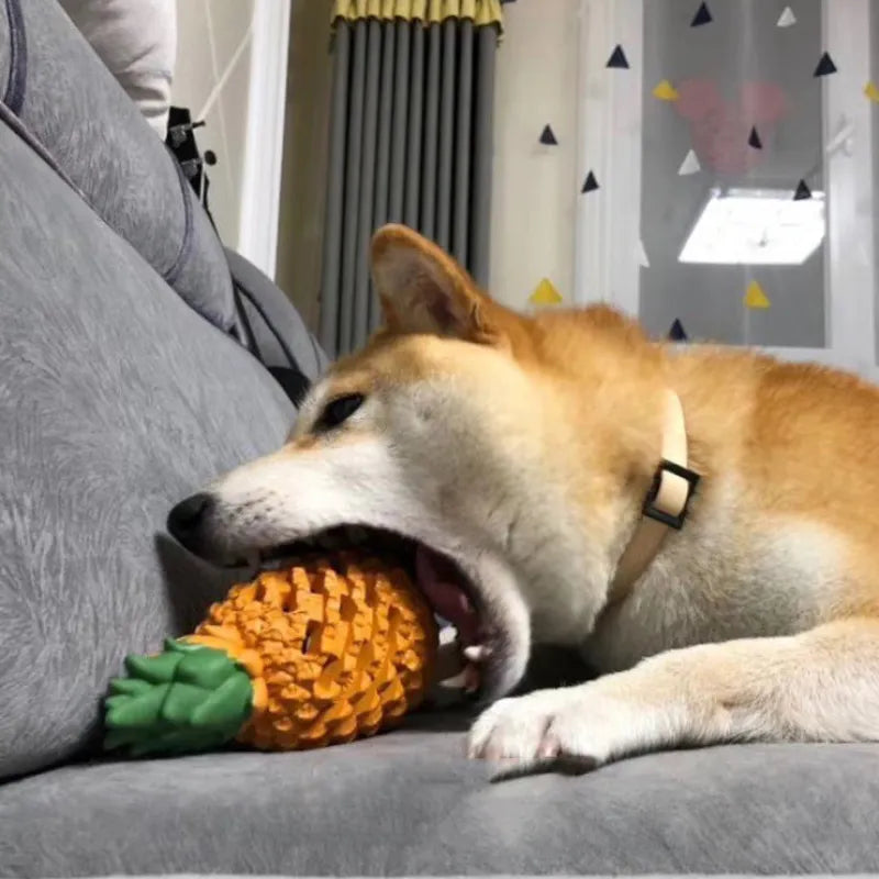 Fruit - Shaped Dog Toy Made of Rubber for Chewing Fun and Dental Care