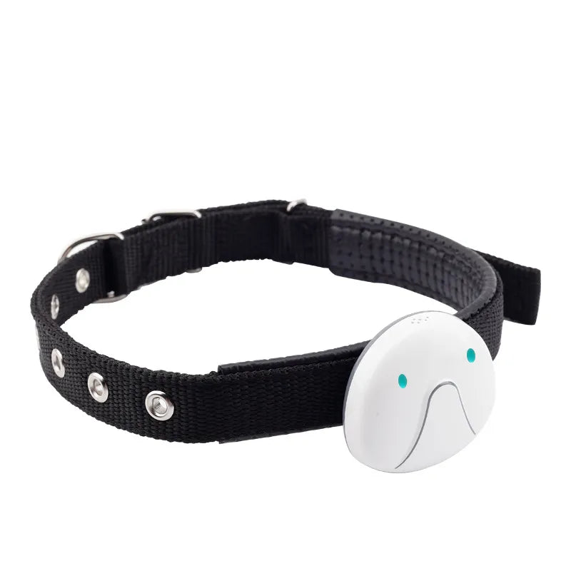 Dog Collar With Gps Tracker - Easy To Attach And Reliable
