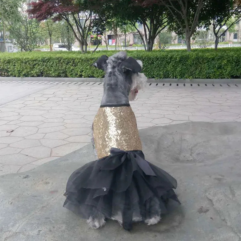 Elegant Dog Dress With Glitter And Tulle Skirt In 2 Colours