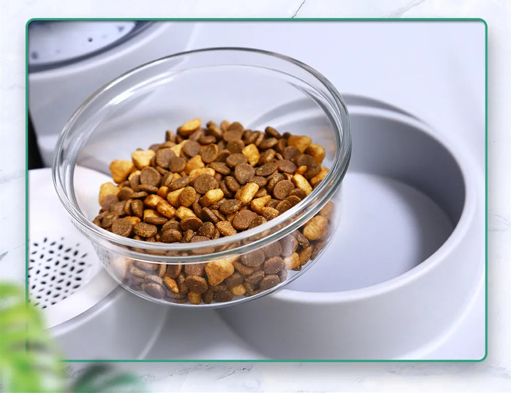 Pet Food And Water Dispenser With Drip Guard