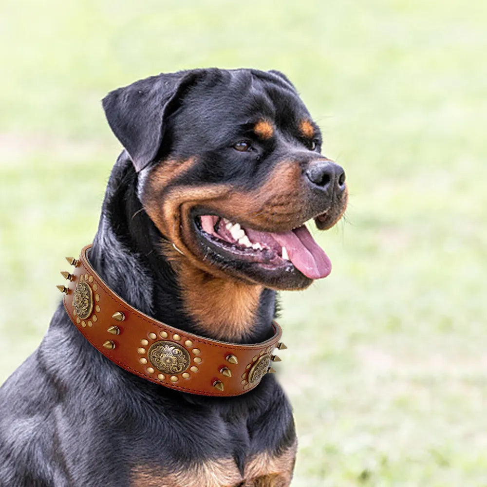 Leather Dog Collar With Rivets And Metal Decorations For Large Dogs