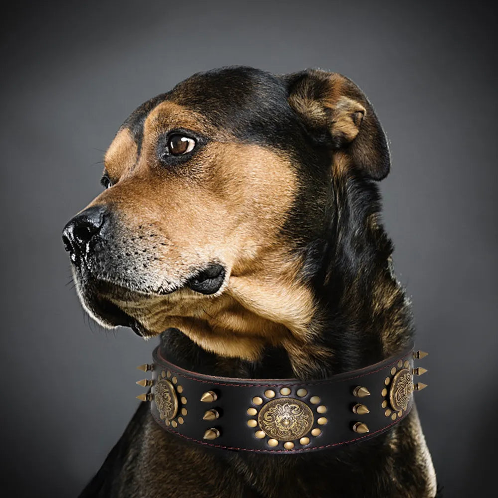 Leather Dog Collar With Rivets And Metal Decorations For Large Dogs