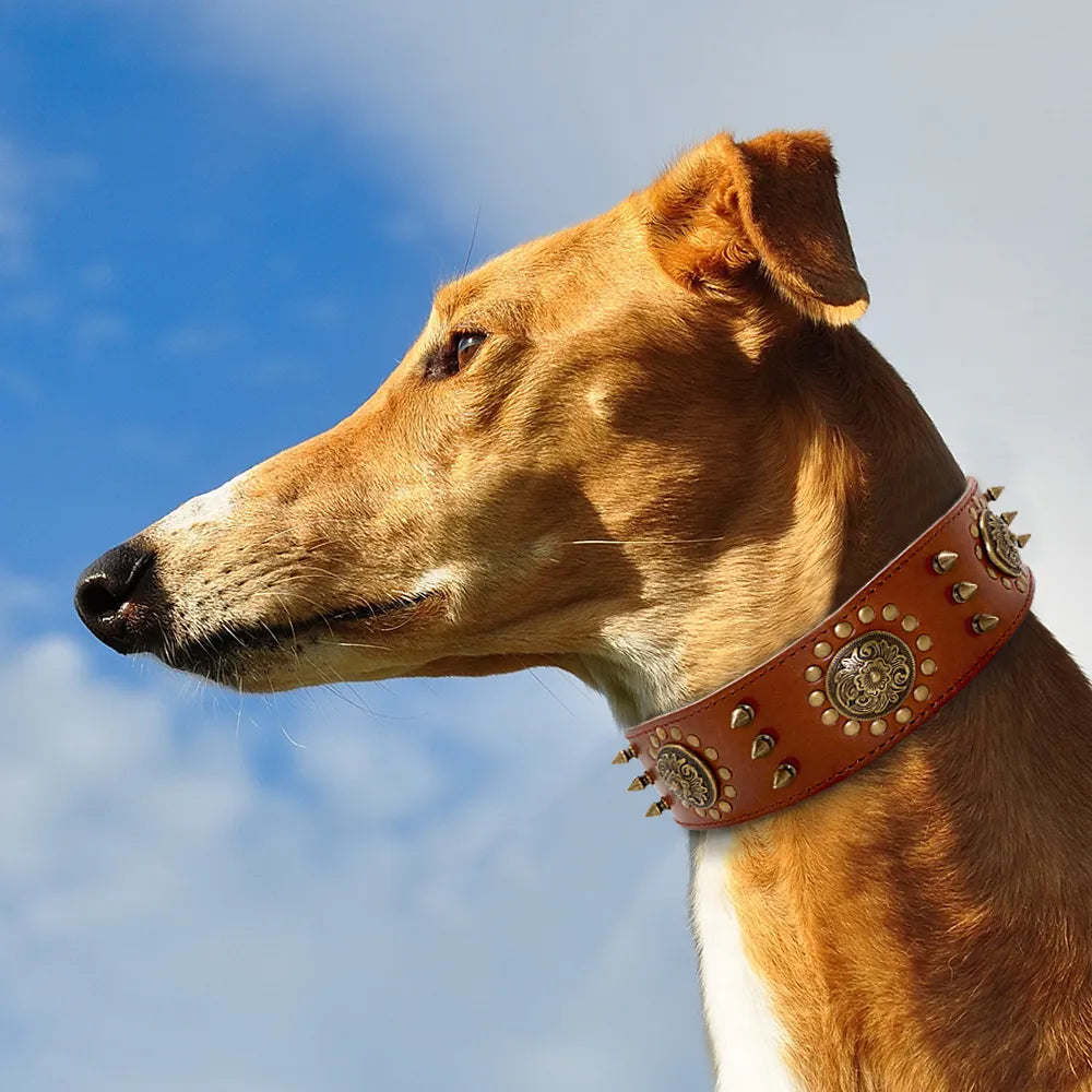 Leather Dog Collar With Rivets And Metal Decorations For Large Dogs