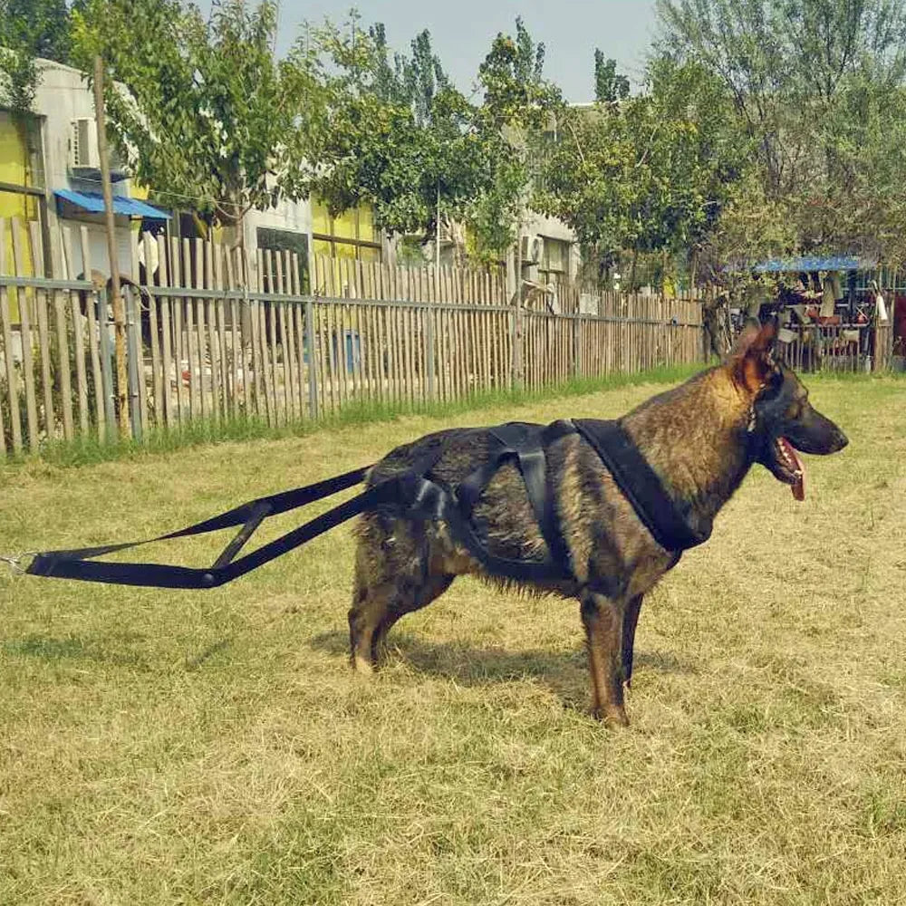 Dog Training Harness with Pull Handles and Tyres - Robust and Adjustable