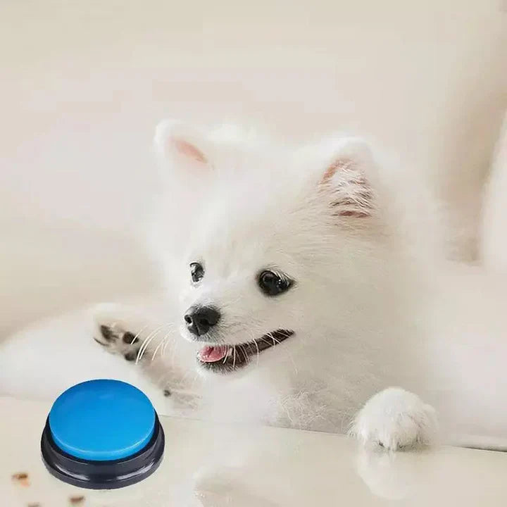 Interactive Talk Button For Pets - Training & Communication