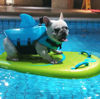 Dog Life Jacket