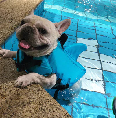 Dog Life Jacket