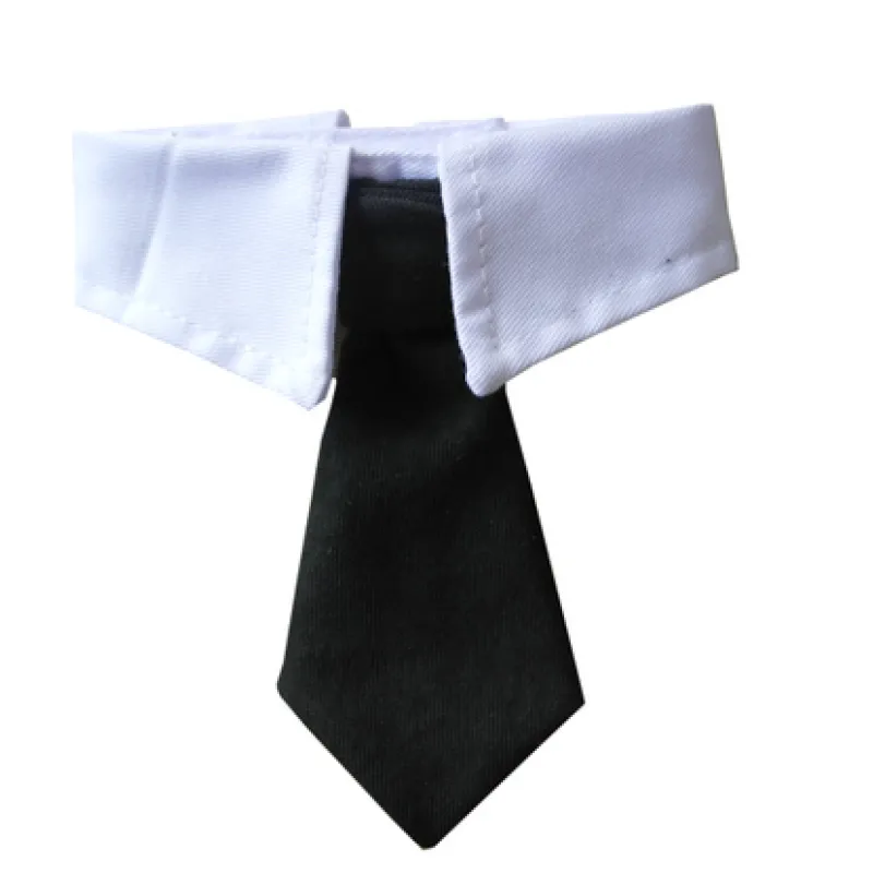 Elegant Pet Collar With Tie For Dogs And Cats