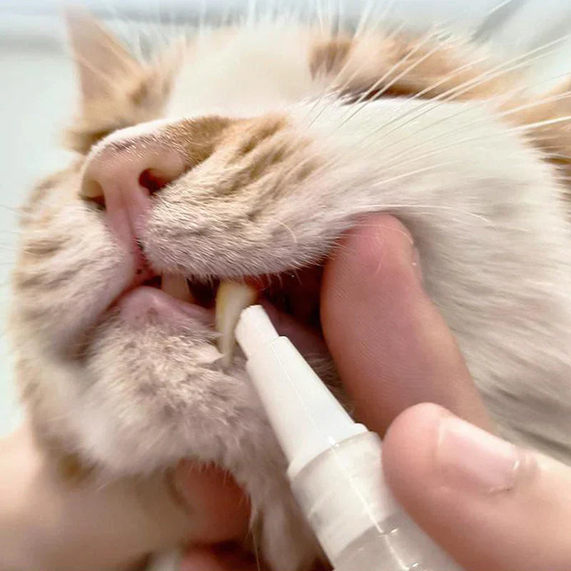 Dental Care Pen For Pets