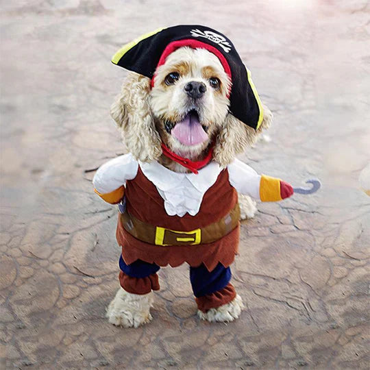 Creative Disguises For Pets