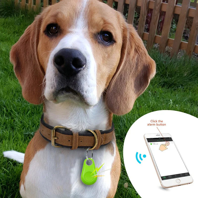GPS Tracker for Pets