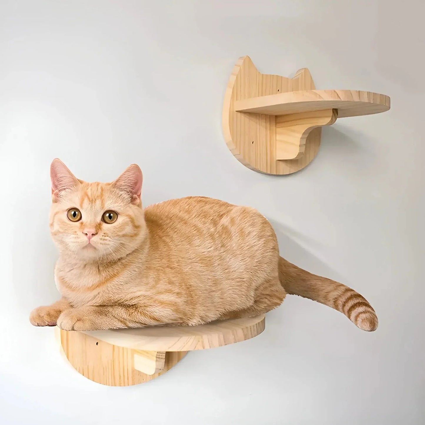 Customizable Cat Wall Scratching Tree