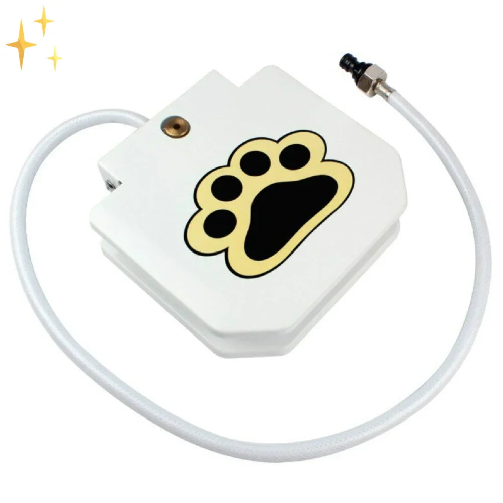 Interactive Dog Toy with Water Fountain