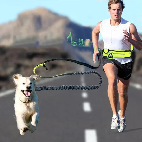 Free - Handed Running Lead With Hip Belt For Dogs