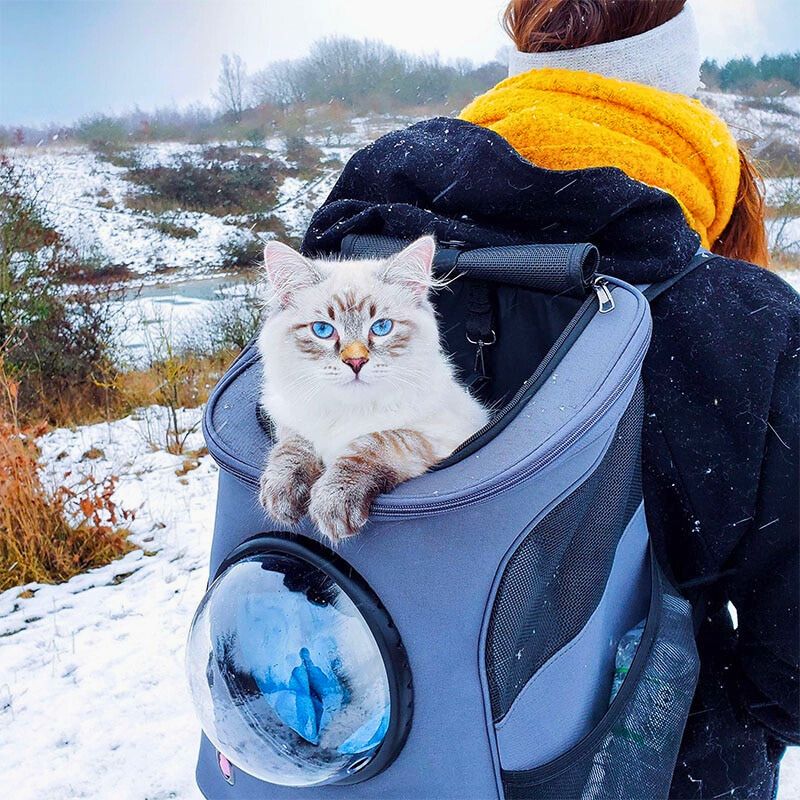 Cat Transport Bag